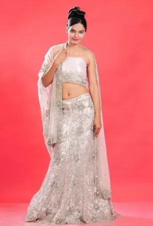 Picture for category cotton lehenga