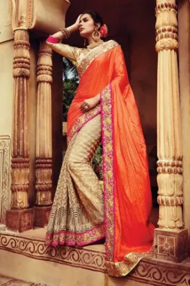 Picture of winsome georgette & net fancy border indian ethnic part